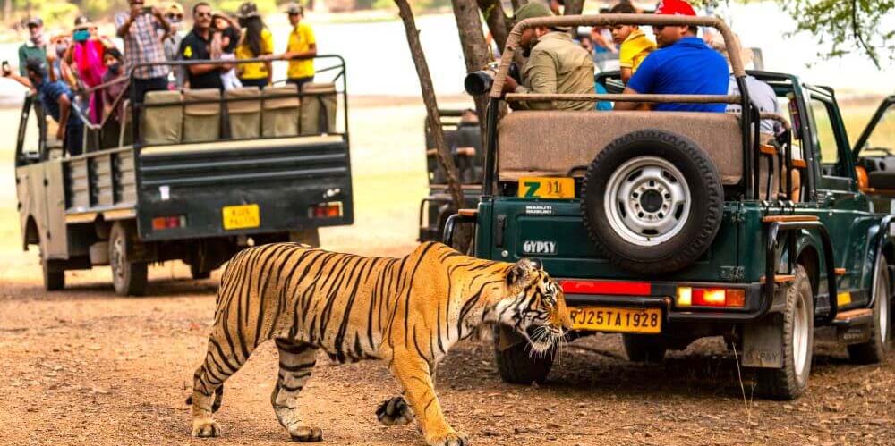 rajasthan-tour-with-taj-mahal-and-ranthambore-tiger-safari